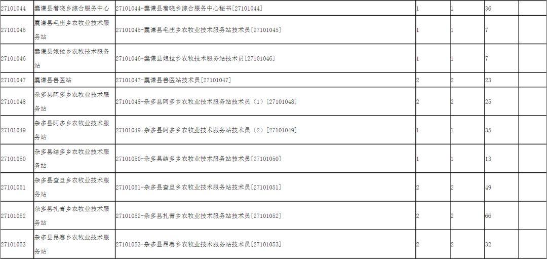 玉树最新招聘动态及其影响