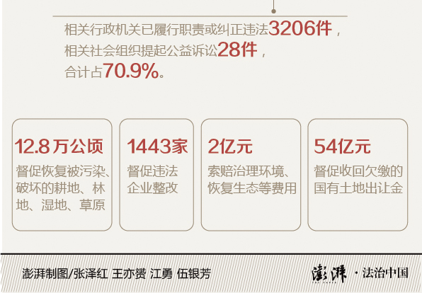 最新打虎情况报告