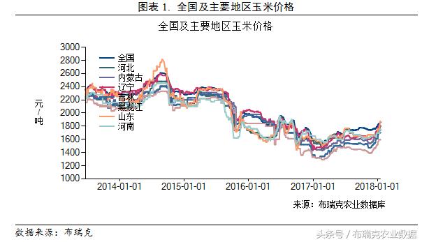 保定今日玉米最新价格动态分析