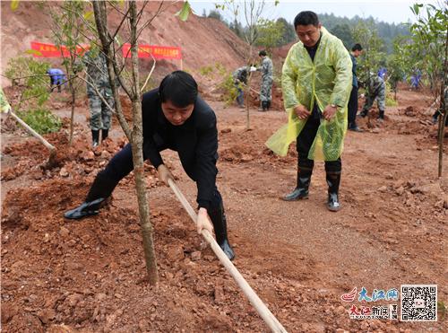 上栗县金山镇最新动态，蓬勃发展中的新面貌