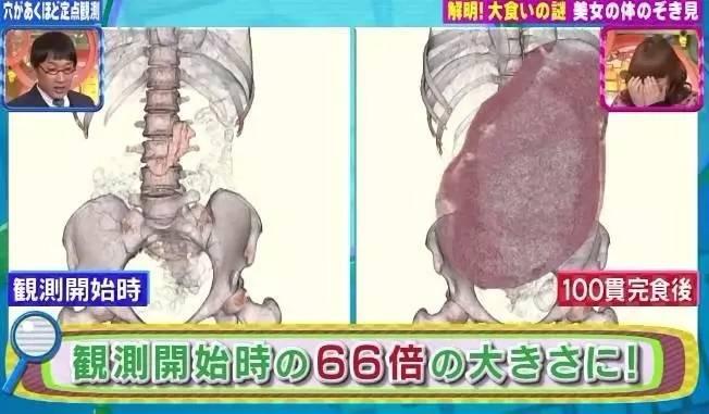 密子君最新视频，深度解析与感受分享