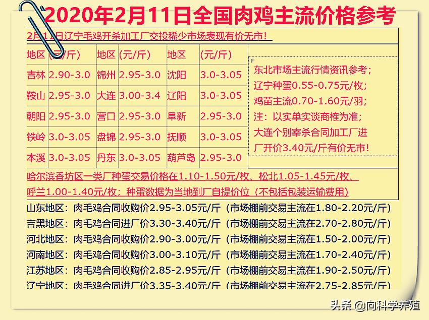 全国鸡价格最新行情分析