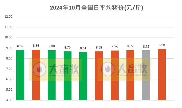 邯郸今日生猪最新价格动态分析