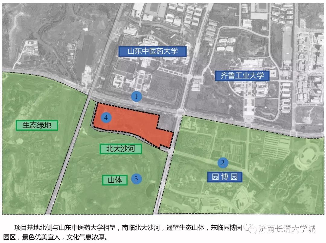 长清最新消息全面解读