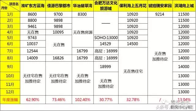 合肥新站区房价最新动态，趋势、因素与前景展望