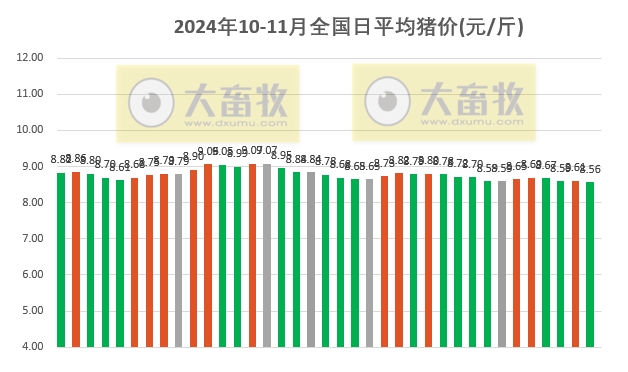 最新猪价动态分析