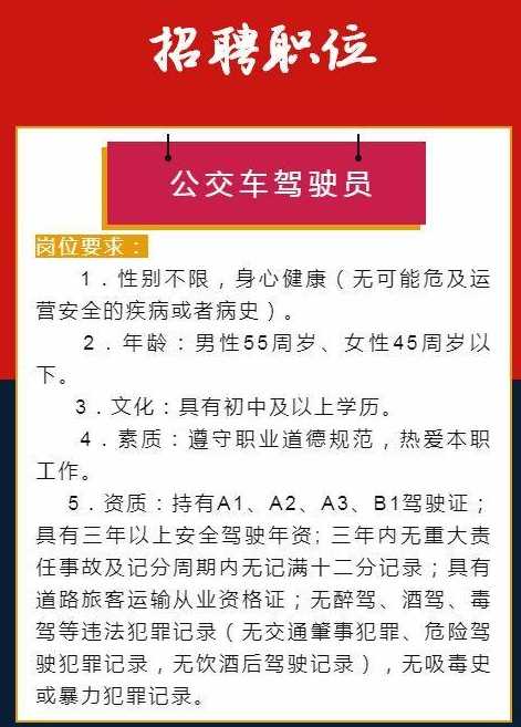 安岳最新司机招聘，探索职业机遇，共创美好未来