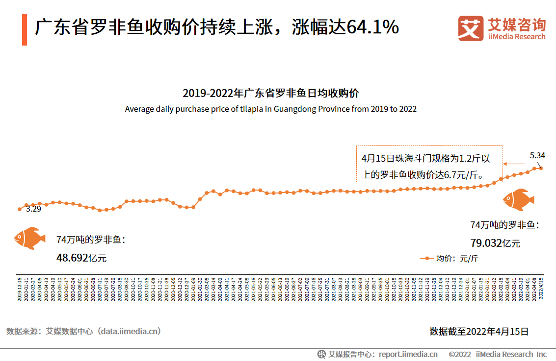 广东罗非鱼最新价格动态及相关市场分析