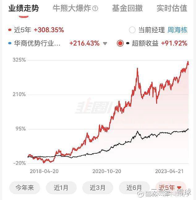 毕树真最新持股动态，深度解析与前景展望