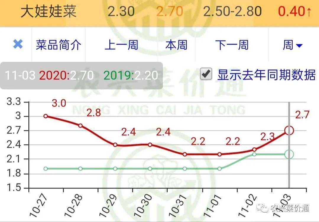 娃娃菜价格最新行情分析