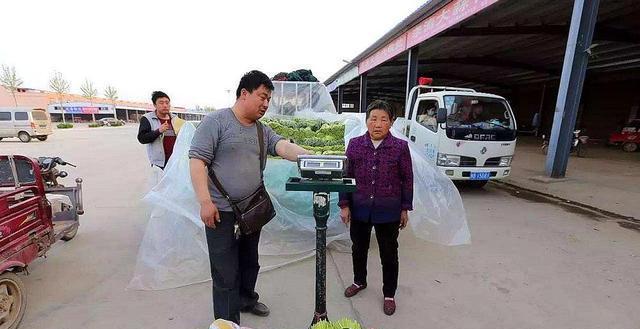 邳州蒜苔最新价格动态分析