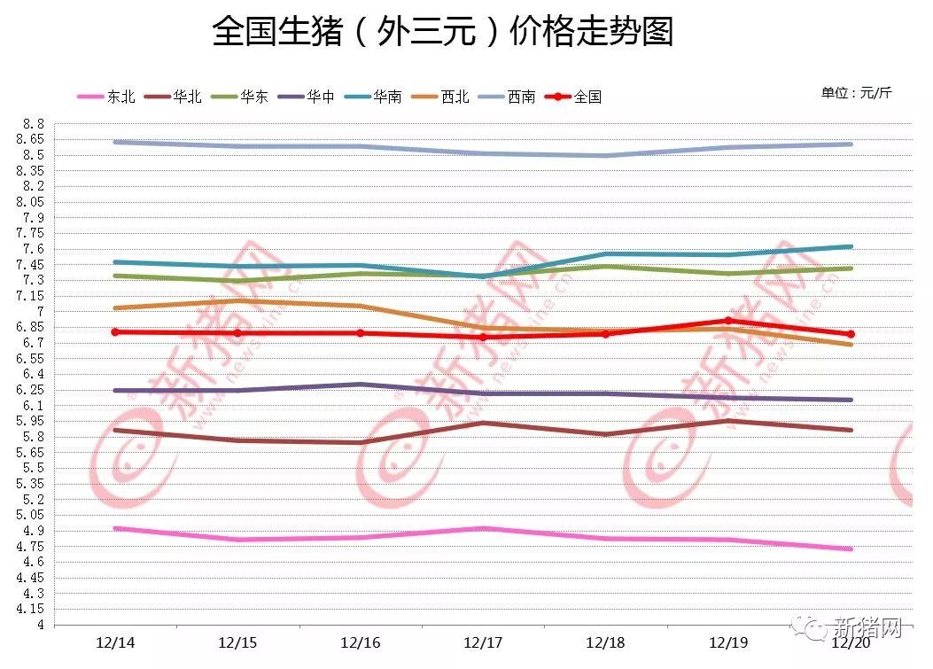 最新猪价UC报价，市场动态与未来展望